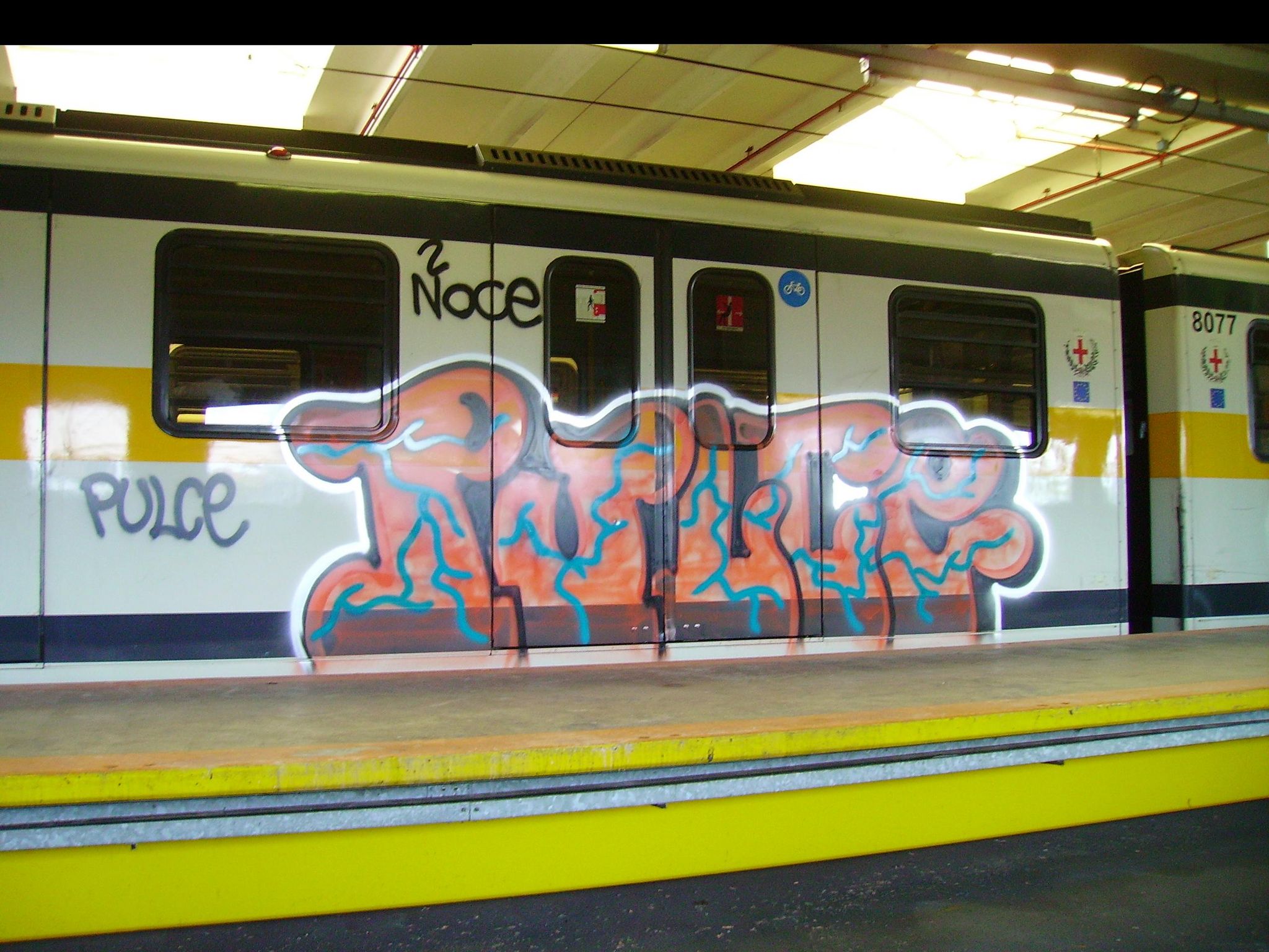 PULCE  MM3